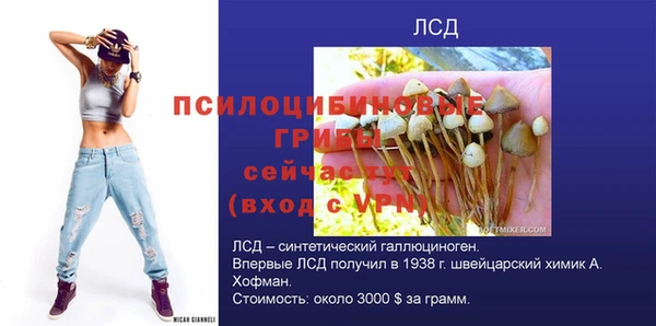 mix Пестово