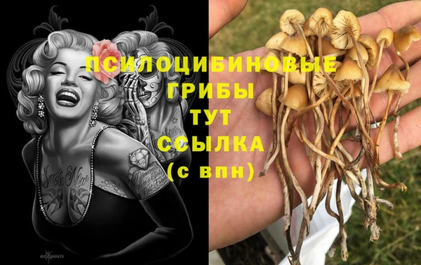 гашик Остров