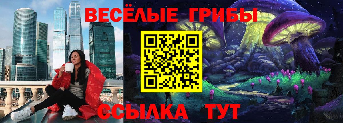 Хасавюрт  Псилоцибиновые грибы ЛСД  Галлюциногенные грибы мицелий  Вход с VPN 